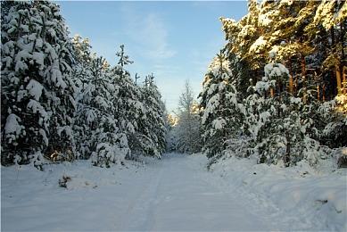 肉鸽DBG惊喜之作《Indies' Lies》即将于3月26日开启免费试玩